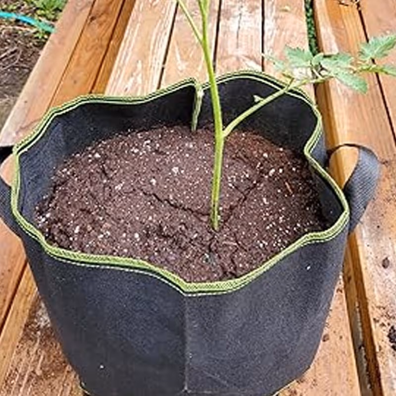 Customer garden review