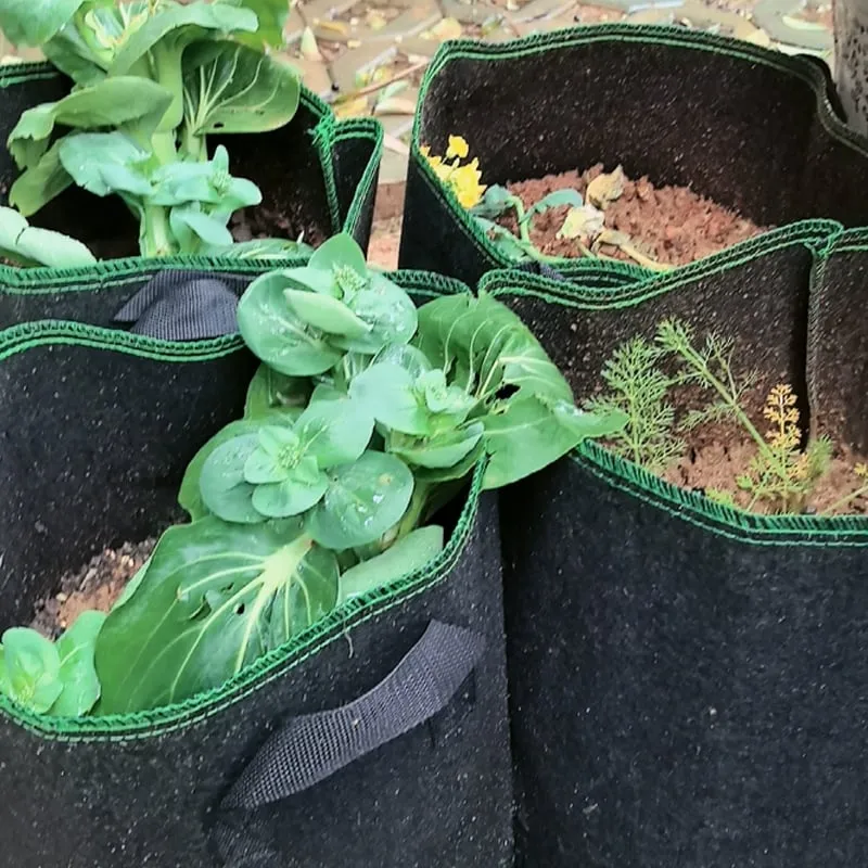 Customer vegetable garden review